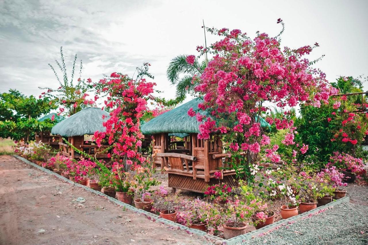 Airport View Hotel วีกัน ภายนอก รูปภาพ